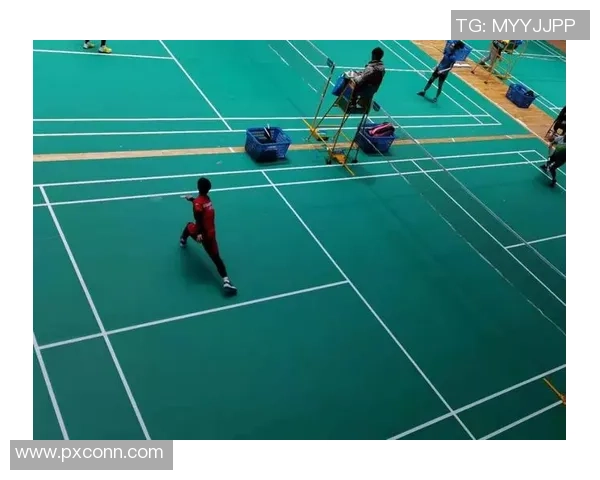 深圳羽毛球队实力大变革引发热议新篇章 深圳羽毛球队实力大变革引发热议新篇章